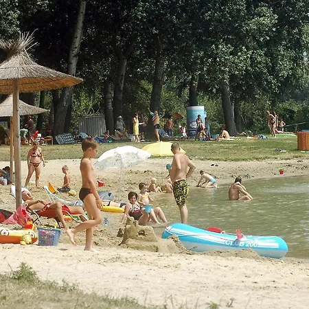 Дом отдыха Zamor House